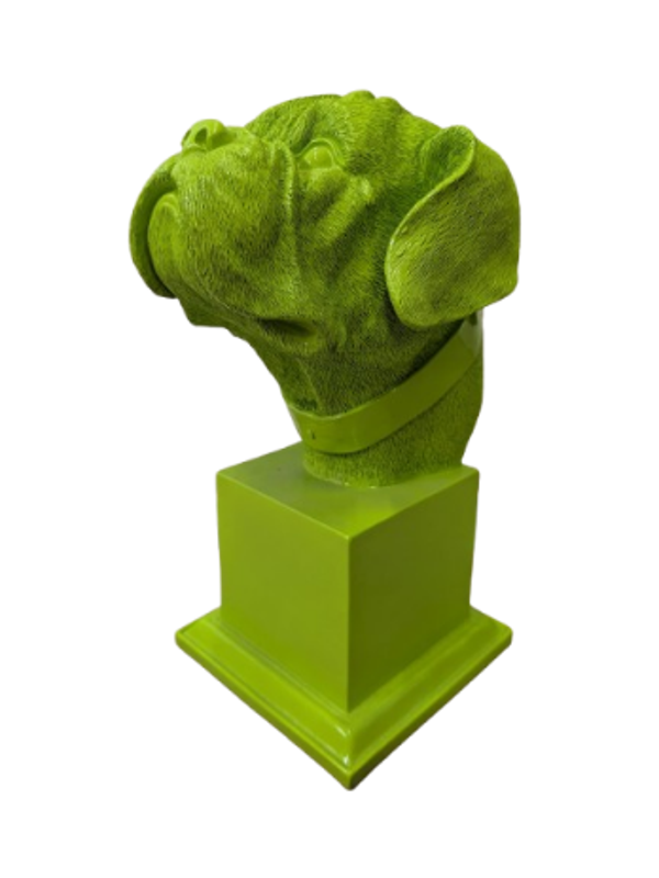 Burste hondekop 35 cm