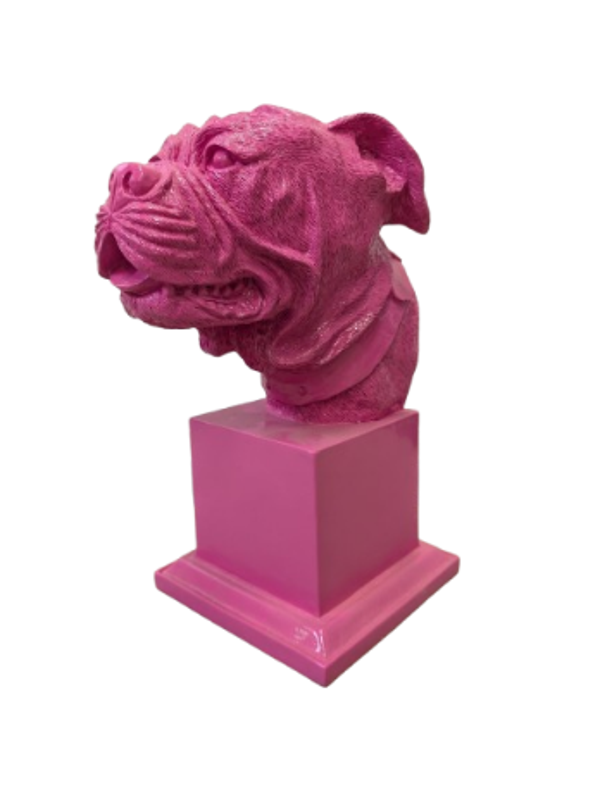 Burste hondekop 35 cm