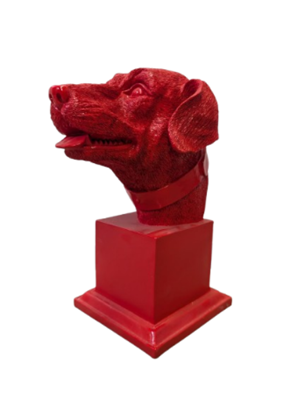 Burste hondekop 35 cm