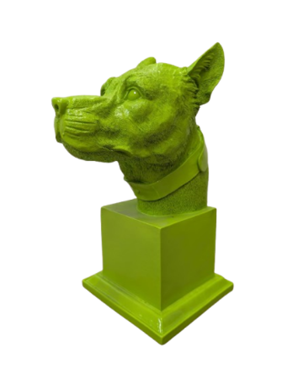 Burste hondekop 35 cm