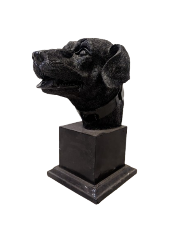 Burste hondekop 35 cm