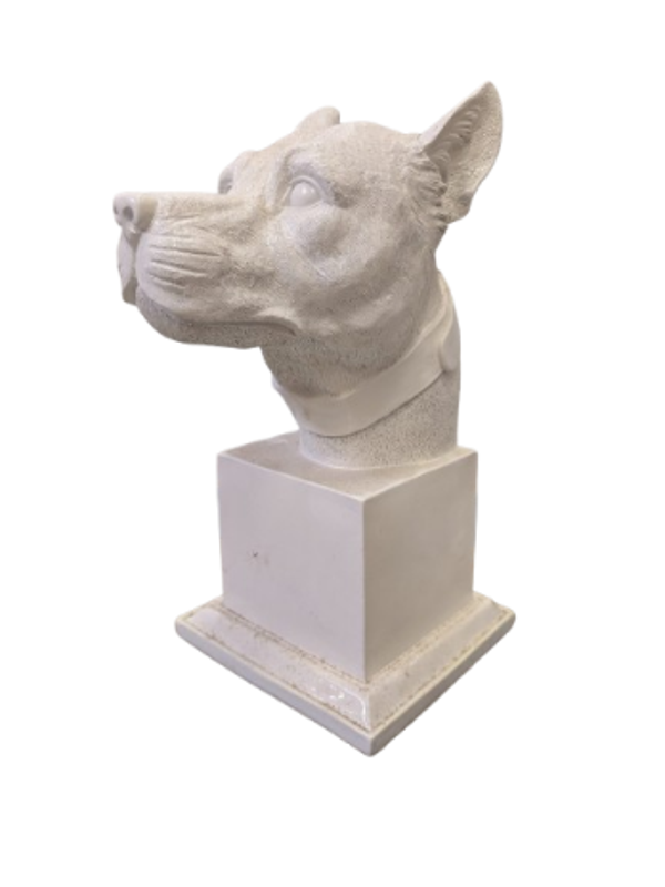 Burste hondekop 35 cm