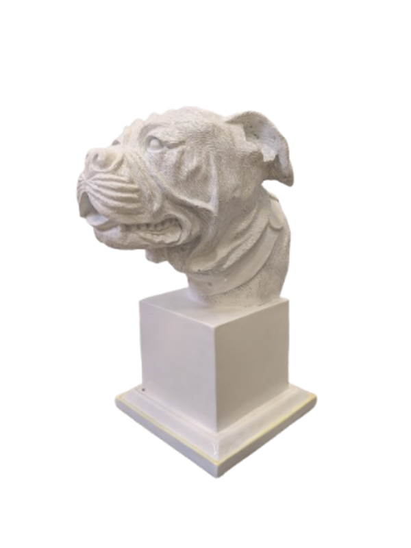 Burste hondekop 35 cm