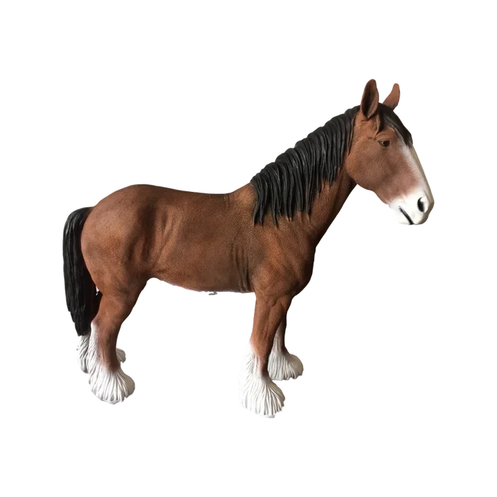 Engels Boere trekpaard 106 cm