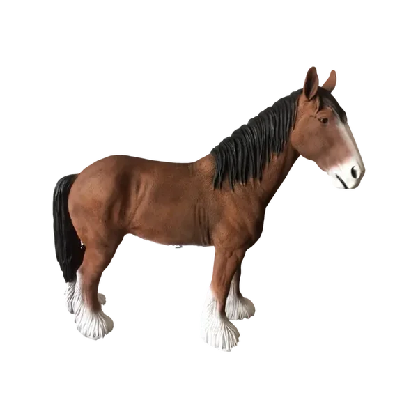 Engels Boere trekpaard 106 cm