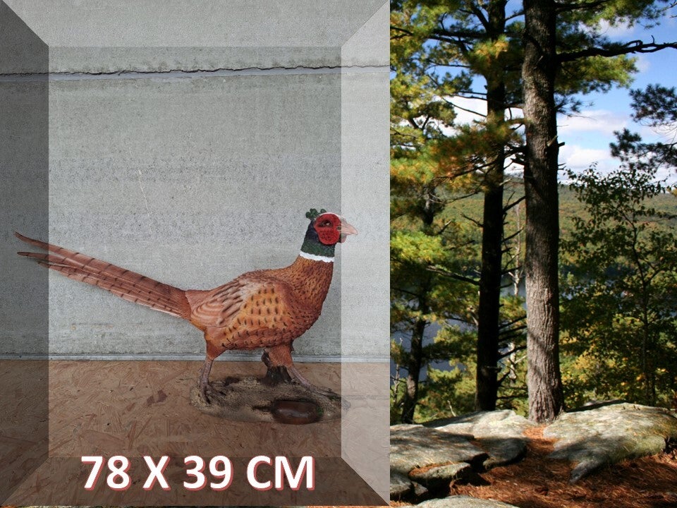FAZANT HAAN 79 X 39 CM