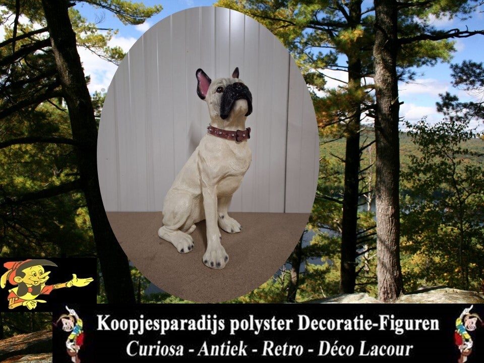 Franse buldog zit beige 50 cm