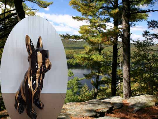 FRANCE BULDOG ZIT MET BRIL EN DAS  ZWART GOUD  60 CM VERP 2