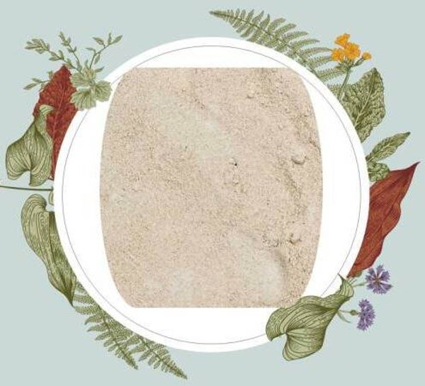 Bio-paradise Kokosmeel (Biologische) 500 gr