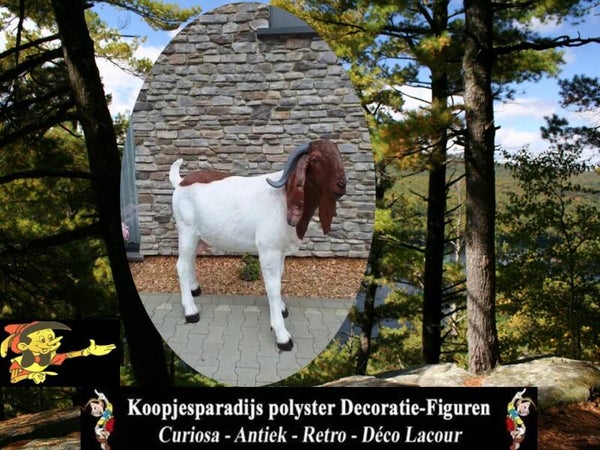 Geit met lange oren 135 x 165 cm