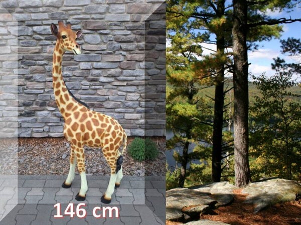 giraffe kijkt achter zich staand naturel 146 cm