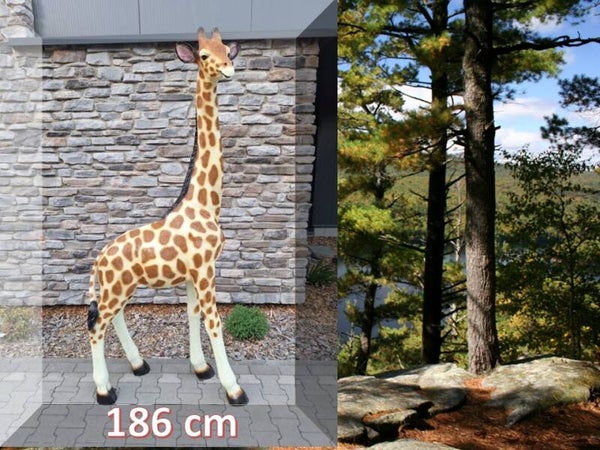 giraffe staand naturel 186 cm