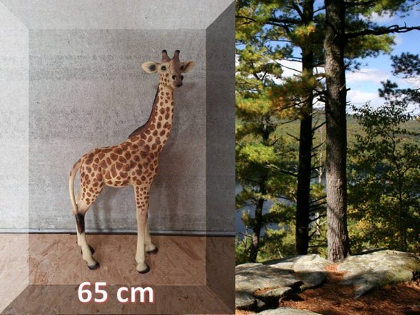 giraffe staand naturel  65 cm
