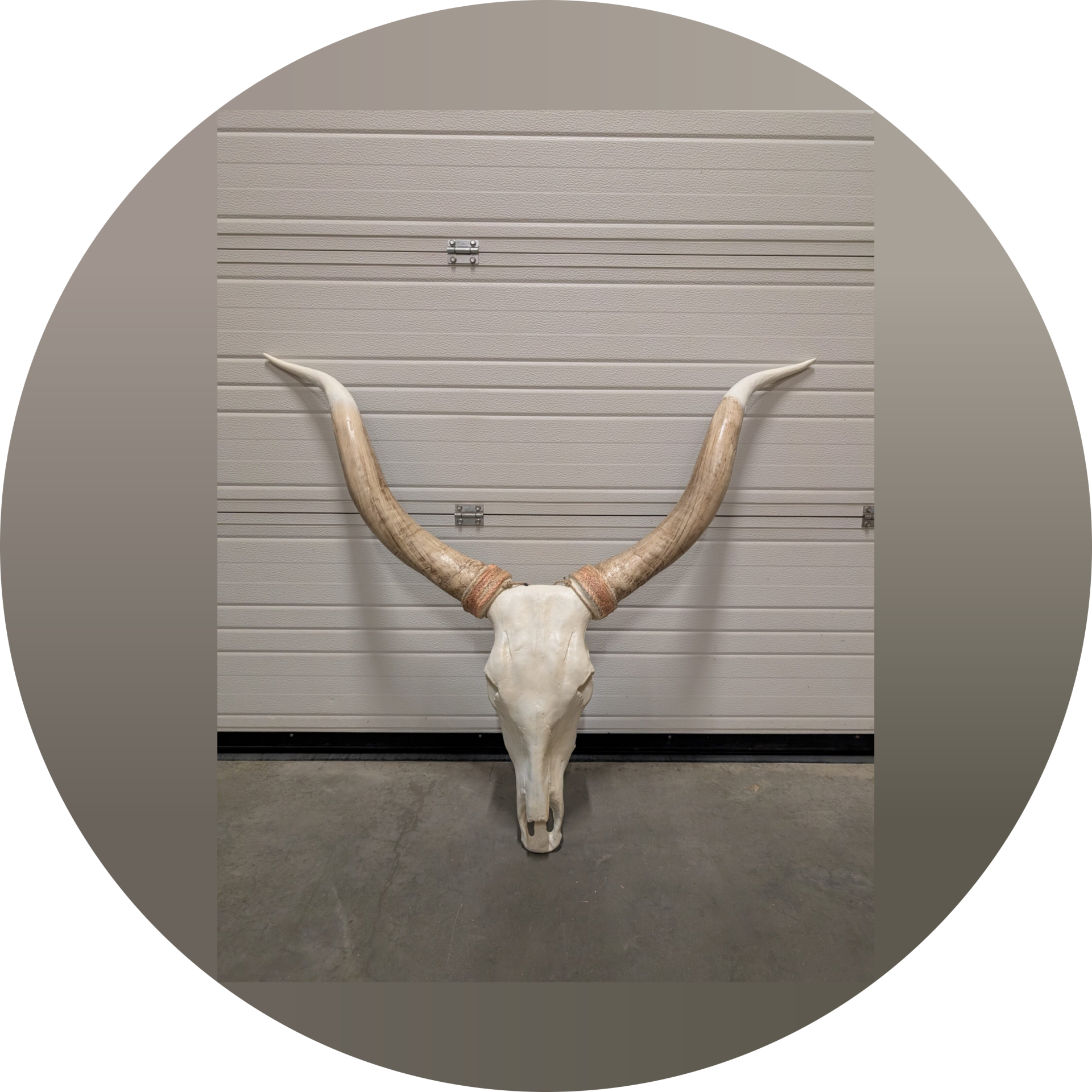 Super schedel 120 cm