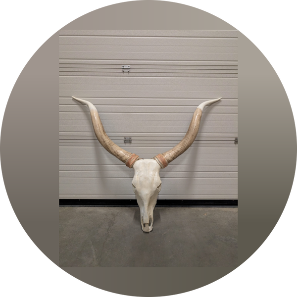Super schedel 120 cm