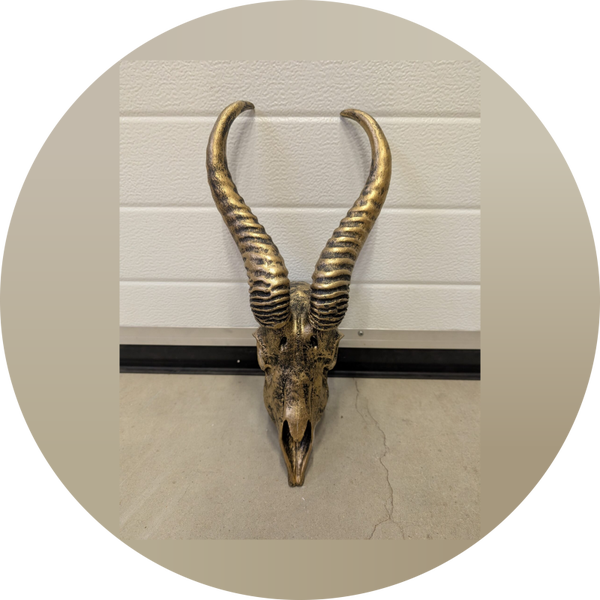 Schedel antiek goud 40 cm