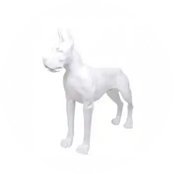 ART pop  boksers Hond staand wit  polyester résine  120 x 100 cm