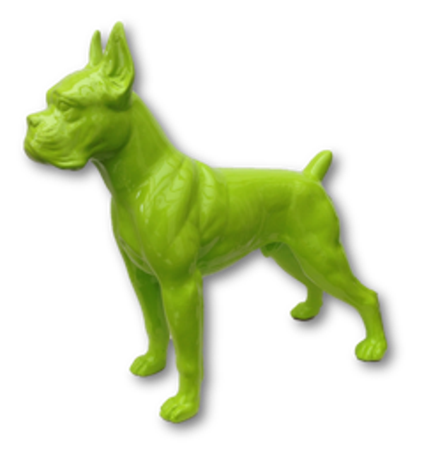 ART  pop Hond boxer multicolor zwart of wit 50 cm