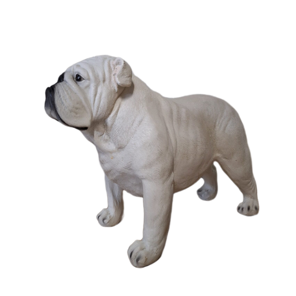 Engelse Buldog laminaat Staand 44 x 65cm