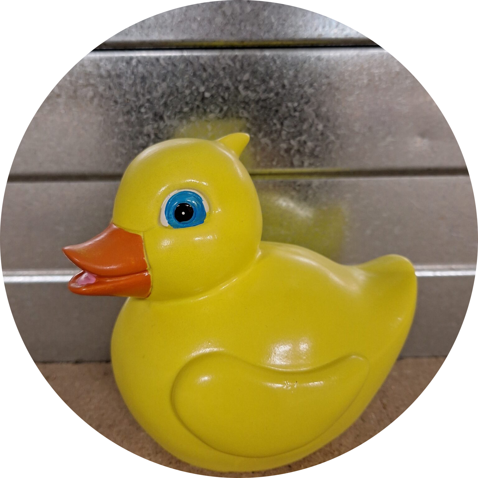 Badeend diverse kleur 15 cm verp 1/8