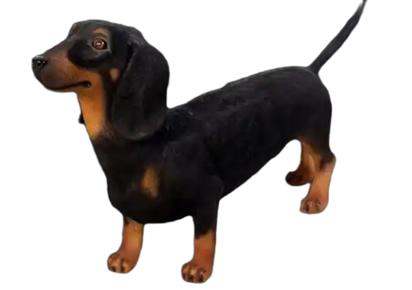 DHC40 Hond tekkel bruin polyester résine 30 x 65 cm