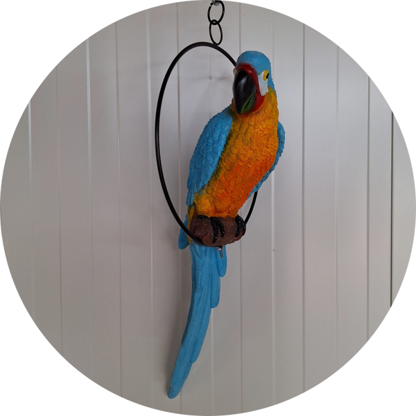 Papegaai in ring  70 cm  verp per 3