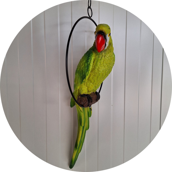 Papegaai in ring  70 cm  verp per 3