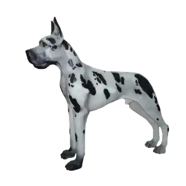 Boxer  hond wit zwart gevlekt polyester résine 125 x 135 cm