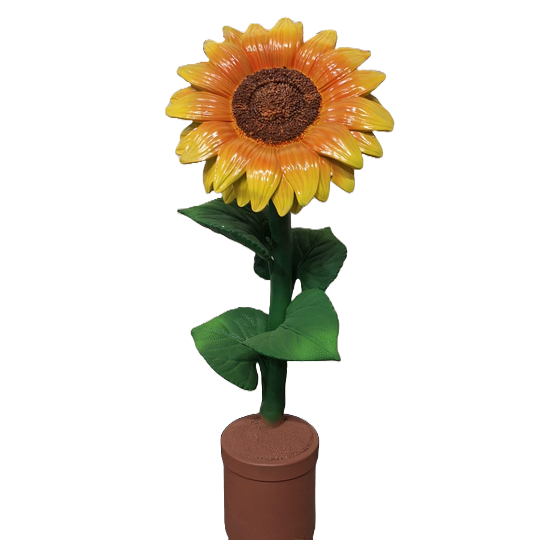 Zonnebloem in pot diverse kleur 65 cm