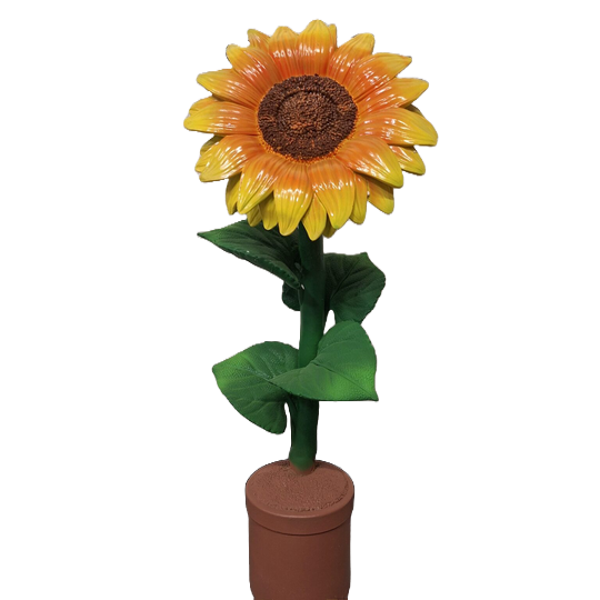 Zonnebloem in pot diverse kleur 65 cm