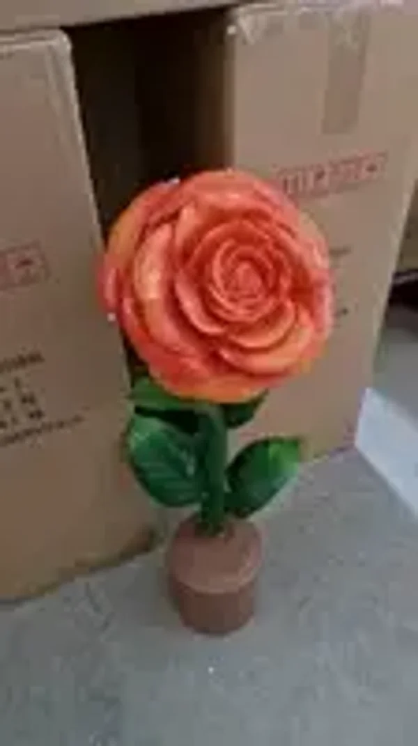 Rozen in pot diverse kleur 65 cm