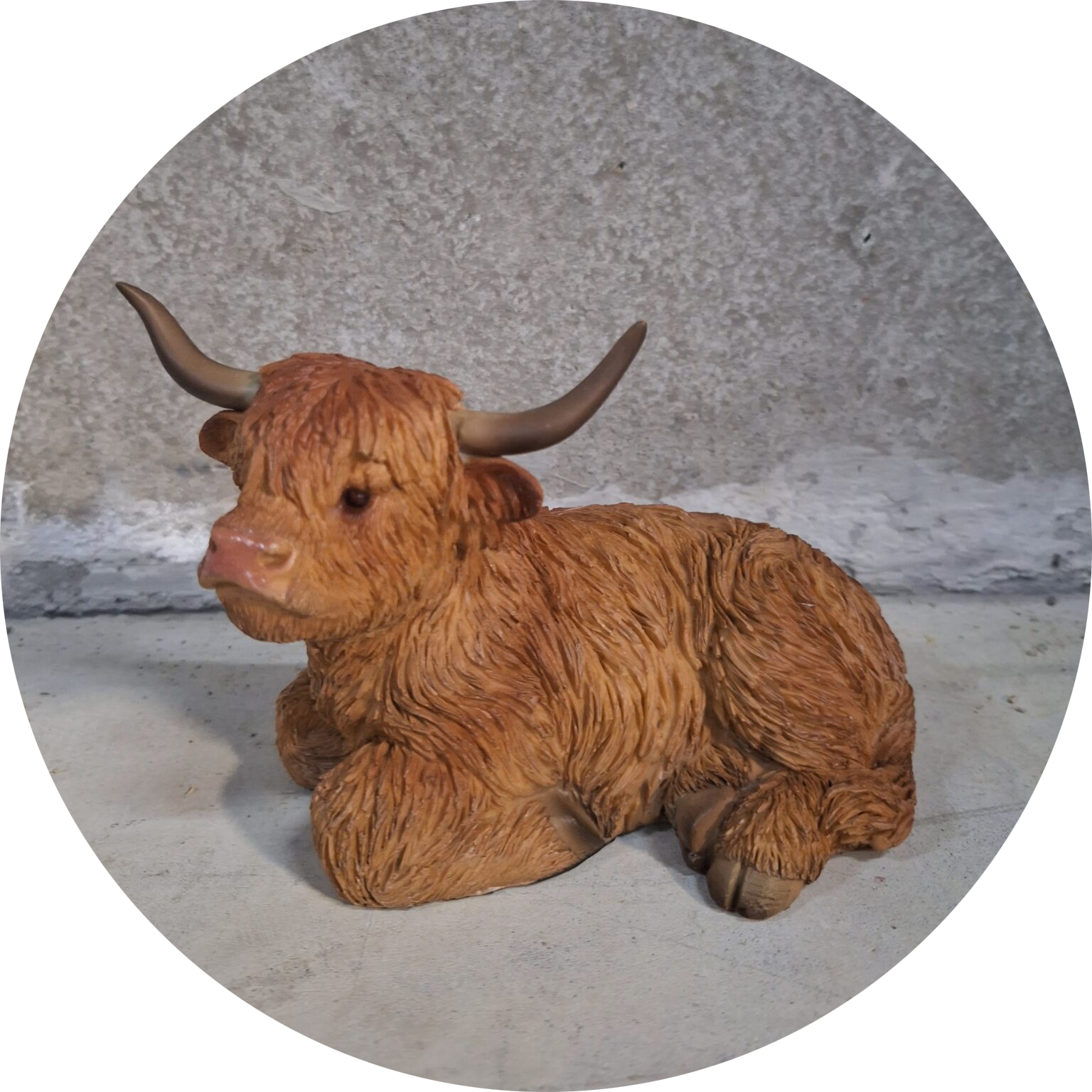 Highlander koe lig 15 X 20 CM VERP 6