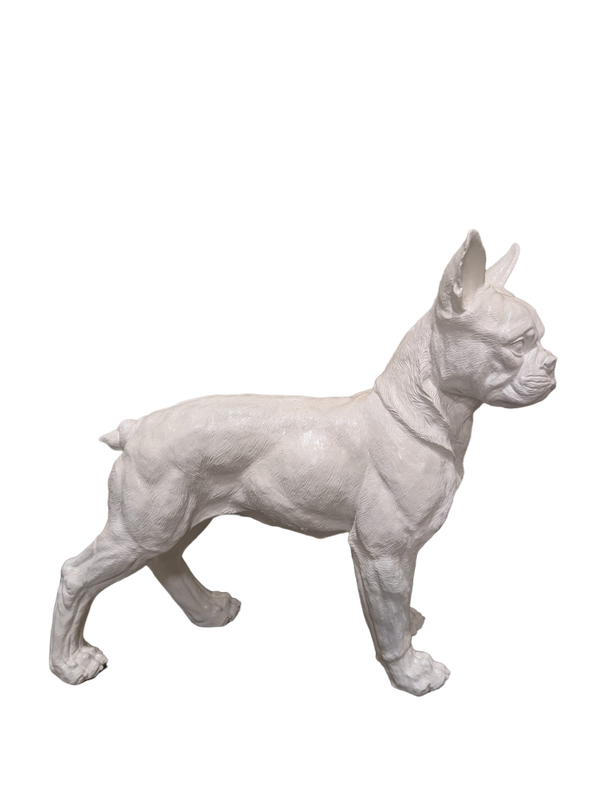 France buldog kleur staand 50 cm