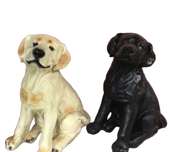 Labrador puppy Creem of zwart 40 cm