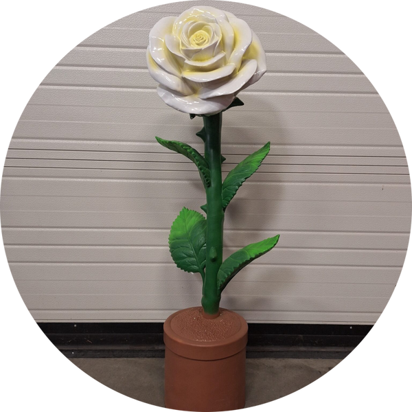 Roos in pot diverse kleur 110 cm