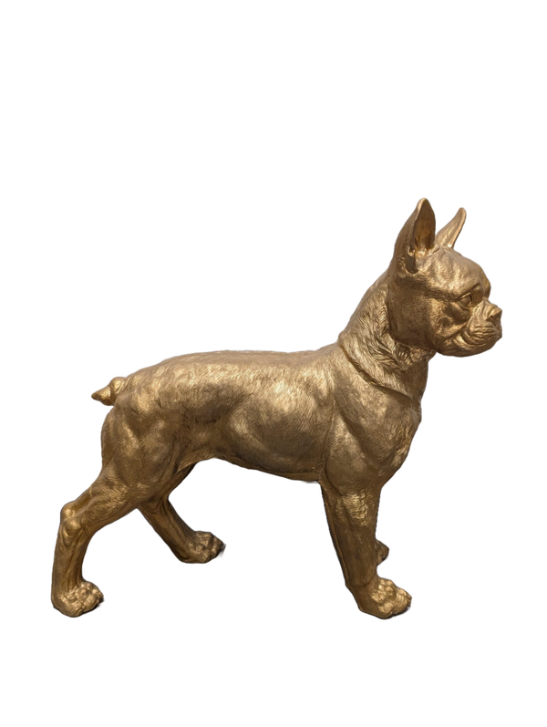 ART pop hond France buldog staand 40 x 50 cm