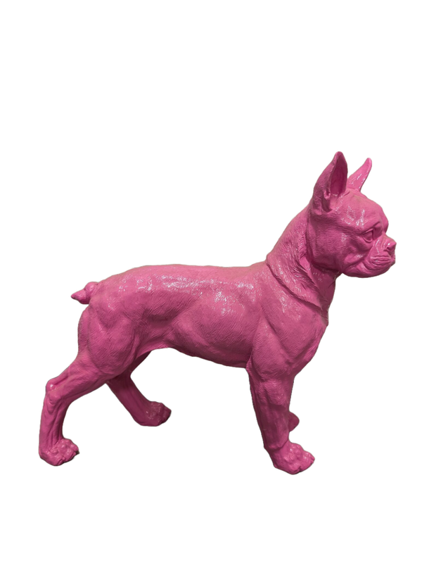 ART pop hond France buldog staand 40 x 50 cm
