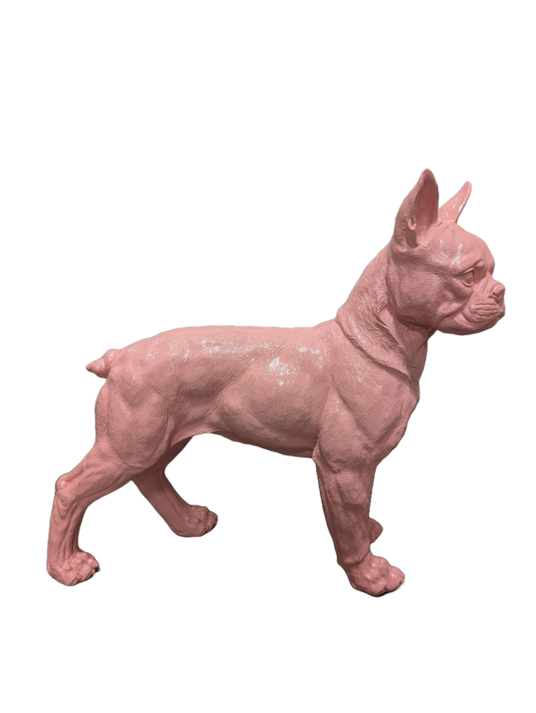 ART pop hond France buldog staand 40 x 50 cm
