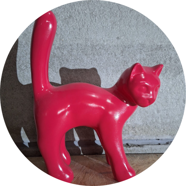 Kat rood 25 x 35 cm verp 6