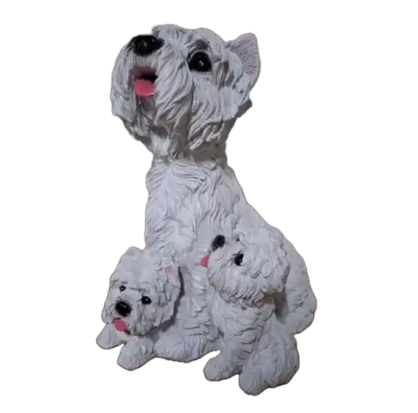 Cezar hondje zit bij 2 pupys 35 cm