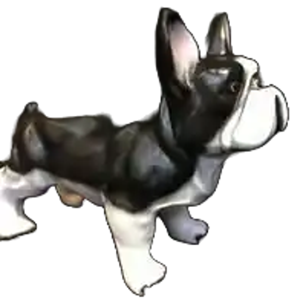 hond France bulldog résine polyester zwart  wit 30 x 60 cm