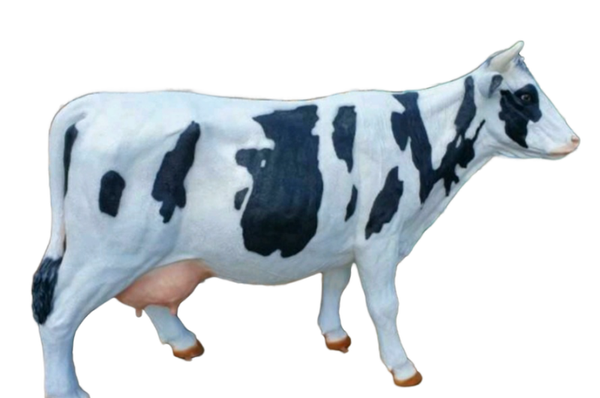 XXL Levens grote reuze koe polyester résine H 170 L 300 cm