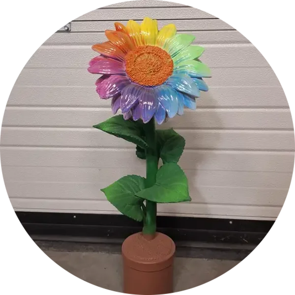 Zonnebloem in pot diverse kleur 65 cm