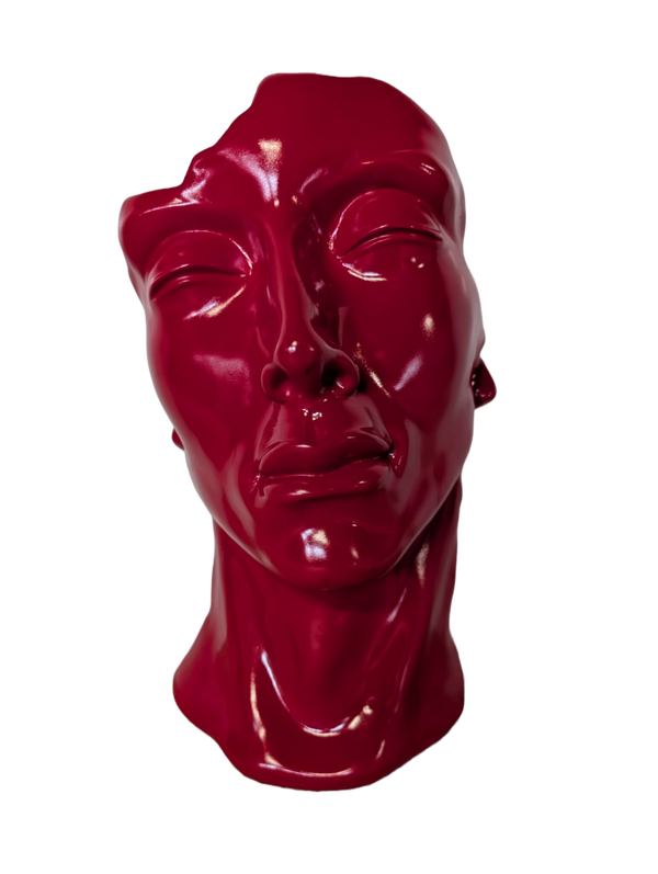 Art pop Masker kleur 50 cm verp 6