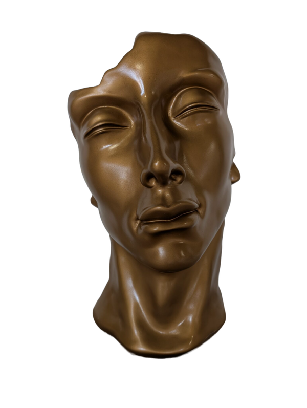 Art pop Masker kleur 50 cm verp 6