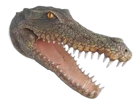 Funny  Kop krokodil Om op te hangen polyester résine 75 CM