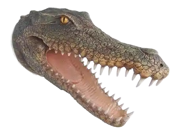 Funny  Kop krokodil Om op te hangen polyester résine 75 CM