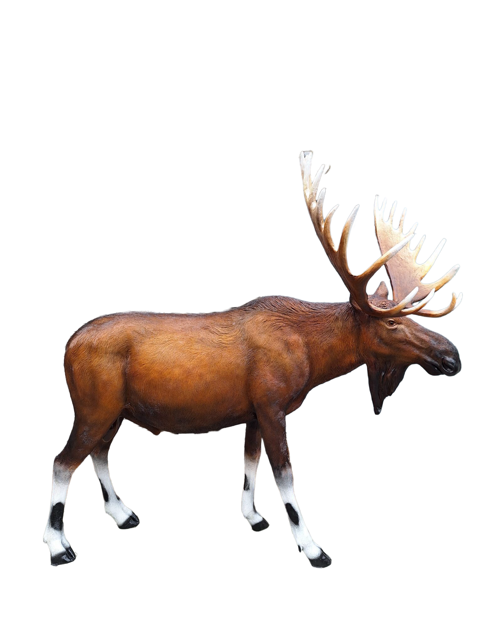 Eland XXL glasvezels laminaat xxl 226 x 240 x 142cm