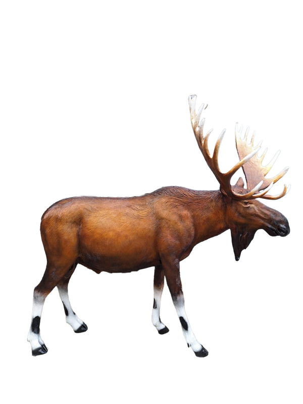 Eland XXL glasvezels laminaat xxl 226 x 240 x 142cm