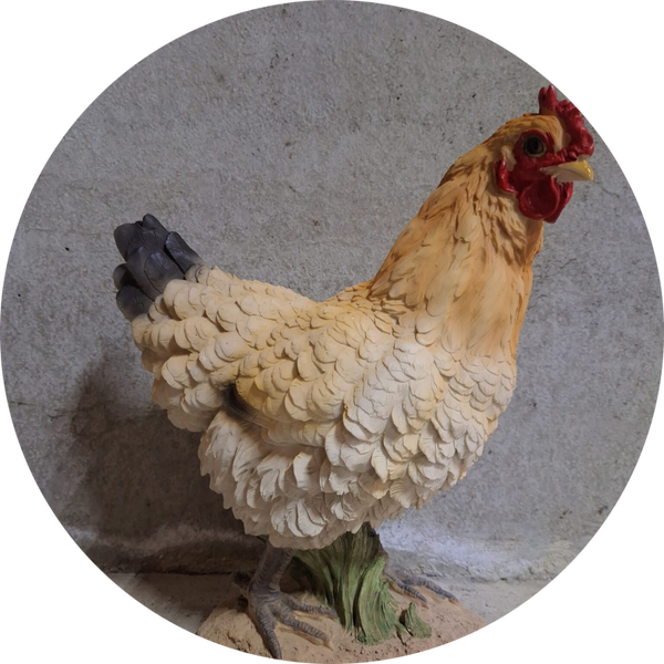 Kip op sokkel 30 x  15 x 33 cm verp 4